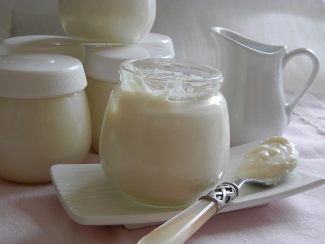 Yogurt fatto in casa con la yogurtiera - viaggiandoincucina