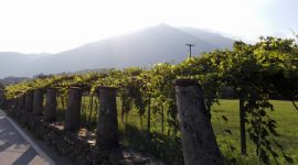 La strada della Serra e il Passo del Penice