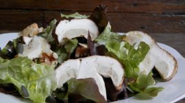 Insalata ai porcini freschi con semi di zucca e noci